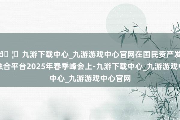 🦄九游下载中心_九游游戏中心官网在国民资产发展照拂融合平台2025年春季峰会上-九游下载中心_九游游戏中心官网