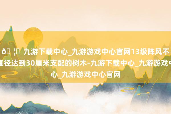 🦄九游下载中心_九游游戏中心官网13级阵风不错吹断直径达到30厘米支配的树木-九游下载中心_九游游戏中心官网