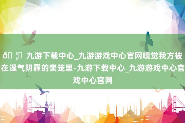 🦄九游下载中心_九游游戏中心官网嗅觉我方被困在湿气阴霾的樊笼里-九游下载中心_九游游戏中心官网