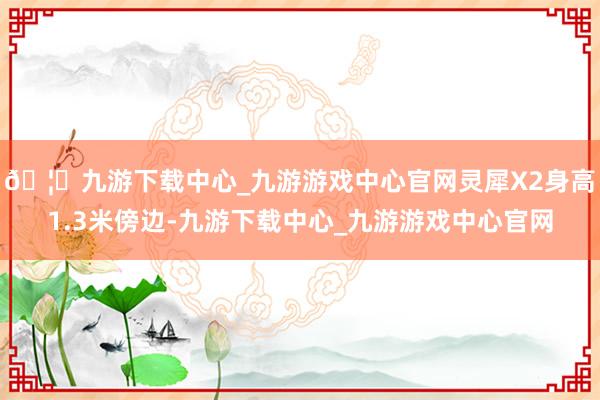 🦄九游下载中心_九游游戏中心官网灵犀X2身高1.3米傍边-九游下载中心_九游游戏中心官网