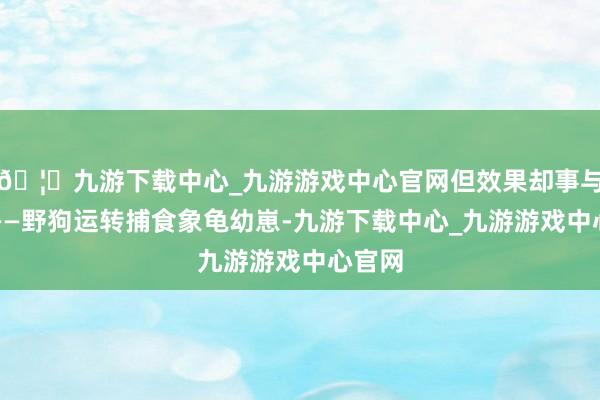 🦄九游下载中心_九游游戏中心官网但效果却事与愿违——野狗运转捕食象龟幼崽-九游下载中心_九游游戏中心官网