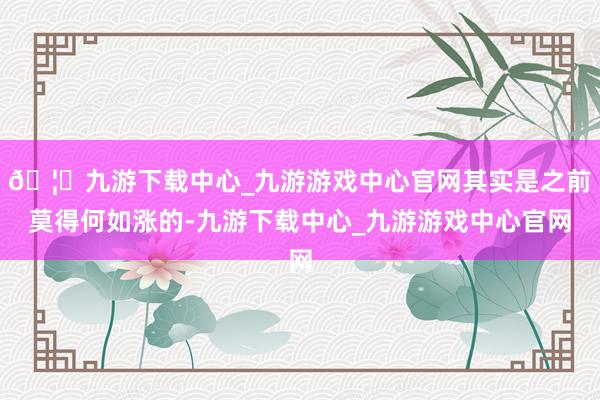 🦄九游下载中心_九游游戏中心官网其实是之前莫得何如涨的-九游下载中心_九游游戏中心官网