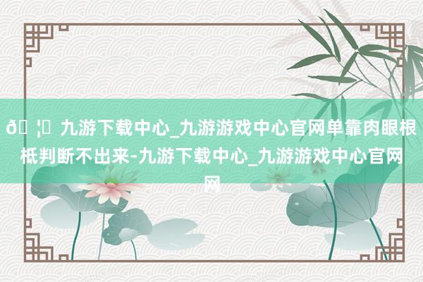 🦄九游下载中心_九游游戏中心官网单靠肉眼根柢判断不出来-九游下载中心_九游游戏中心官网