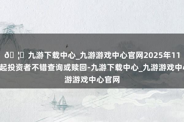 🦄九游下载中心_九游游戏中心官网2025年11月3日起投资者不错查询或赎回-九游下载中心_九游游戏中心官网